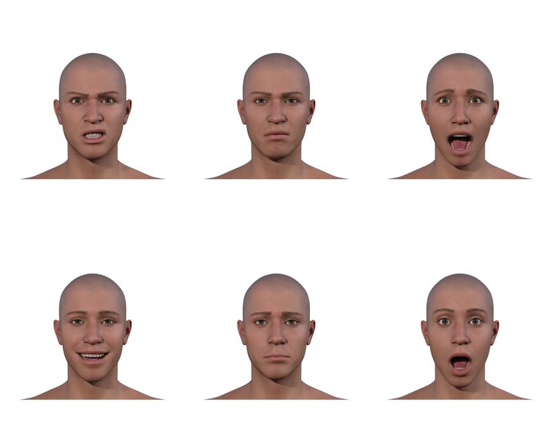 © Marcel Top - 3D models of facial emotion expression