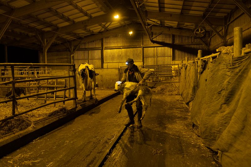 © Marcel Top - Image from the Better days will come photography project