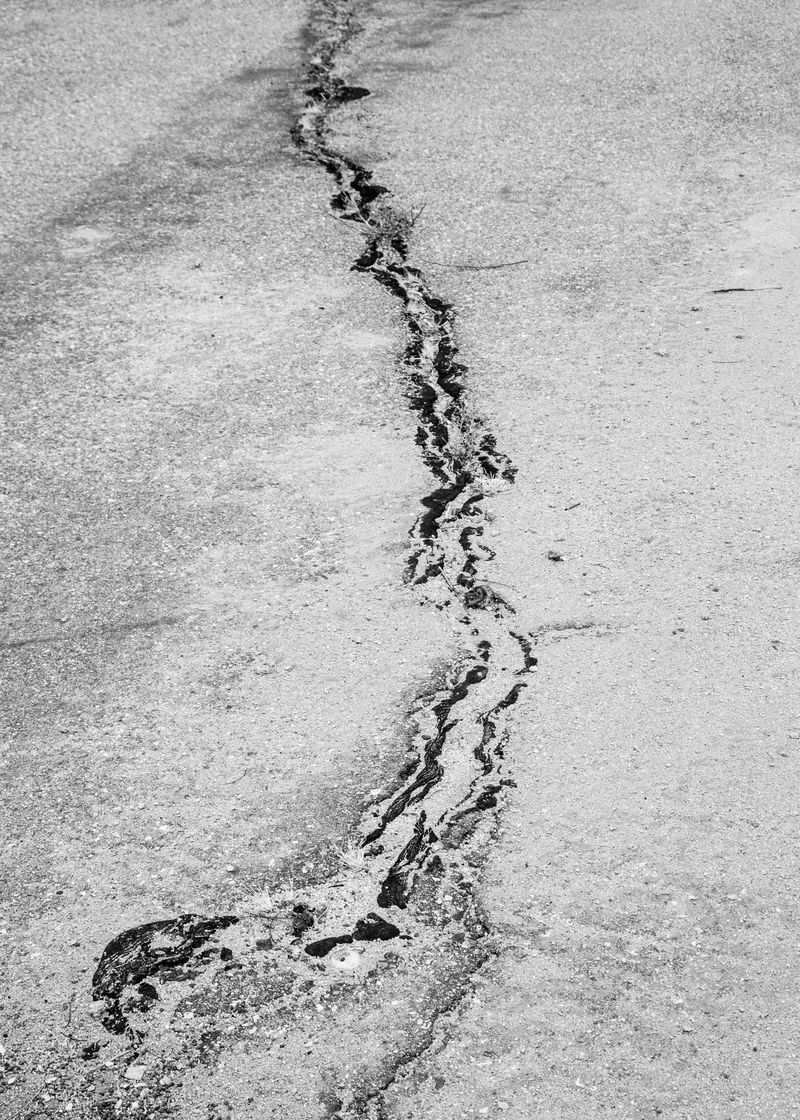 © Zoe Childerley - Image from the Dinosaur Dust photography project