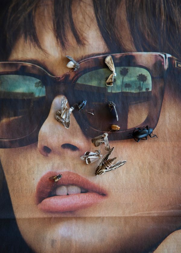 © Zoe Childerley - Image from the Dinosaur Dust photography project