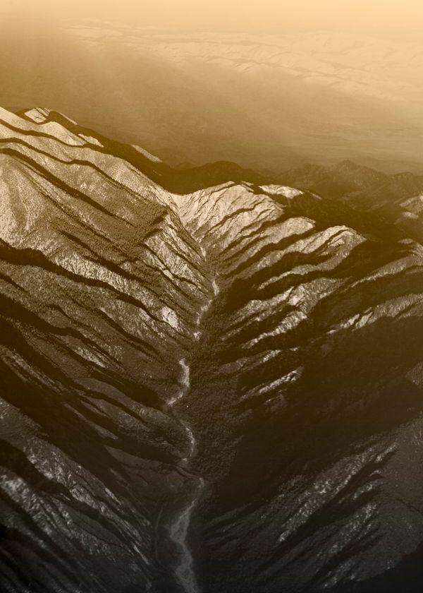 © Zoe Childerley - Image from the Dinosaur Dust photography project