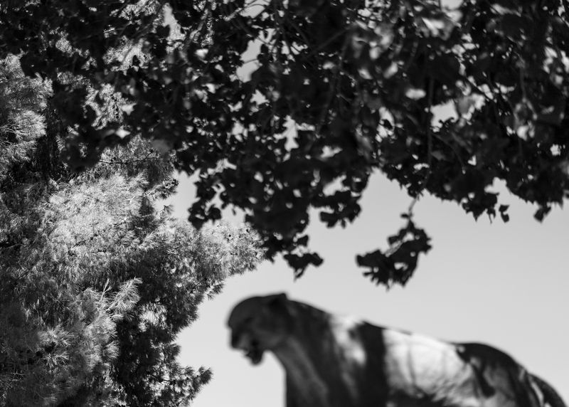 © Zoe Childerley - Image from the Dinosaur Dust photography project