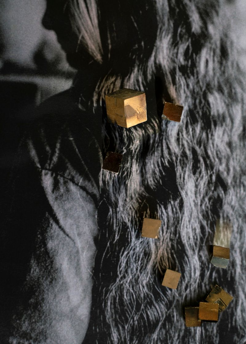 © Zoe Childerley - Image from the Dinosaur Dust photography project