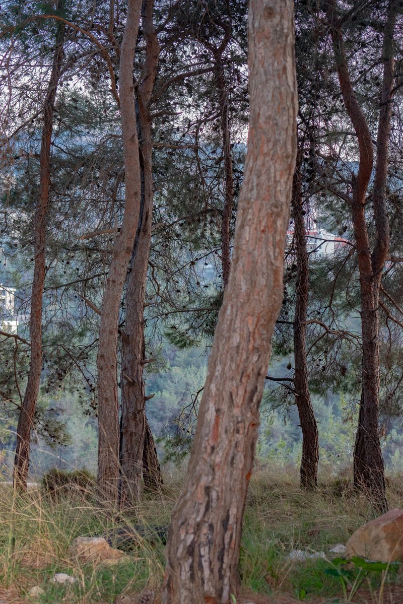 © Laura Menassa - Image from the You told me I was beautiful photography project