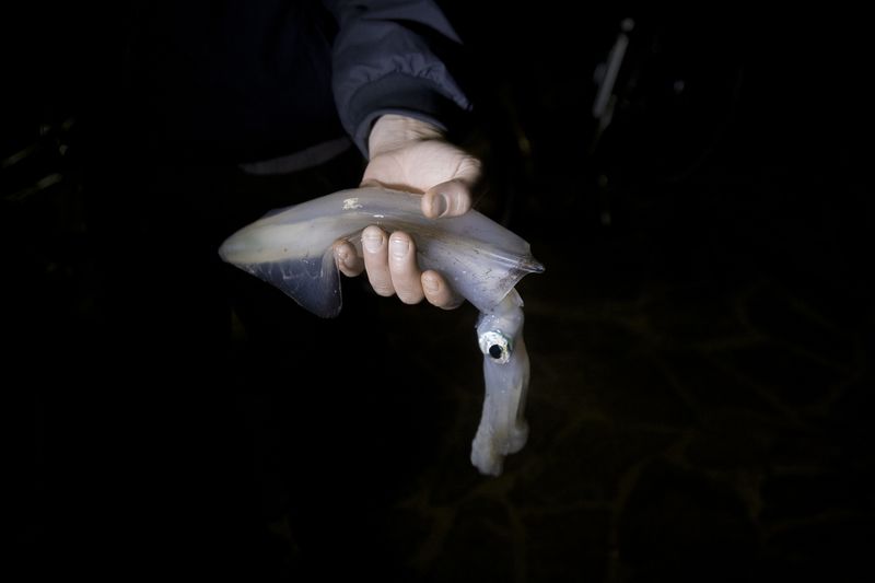 © Federica Di Giovanni - Image from the ISOLE D'INVERNO photography project