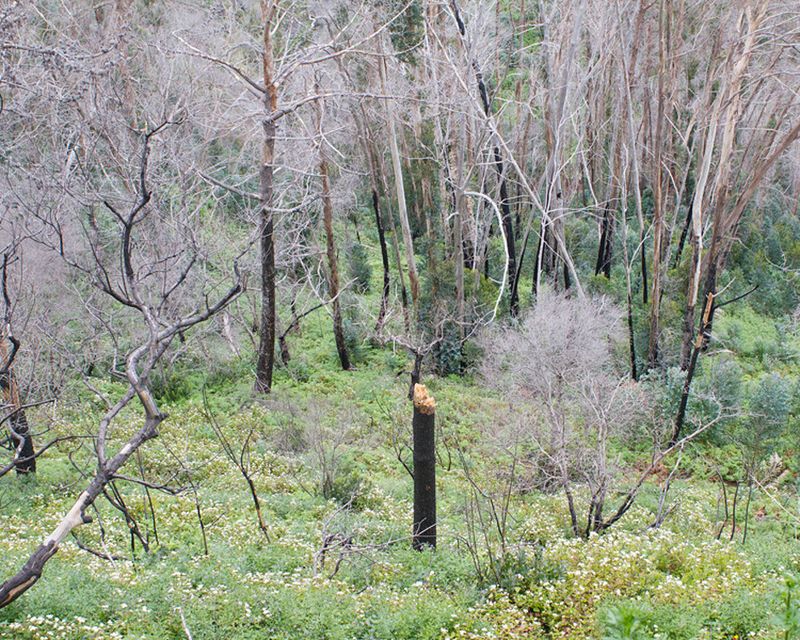 © Cliff Andrade - Image from the Saudade photography project