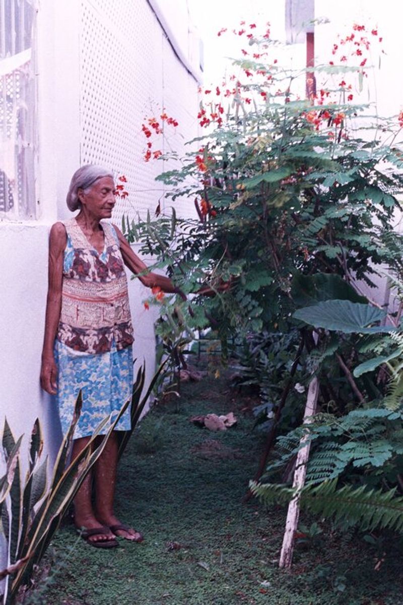 © Ojos Nebulosos - EL JARDÍN DE DOÑA ELENA, 2017