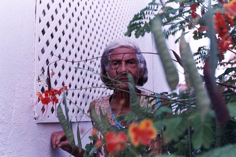 © Ojos Nebulosos - EL JARDÍN DE DOÑA ELENA, 2017