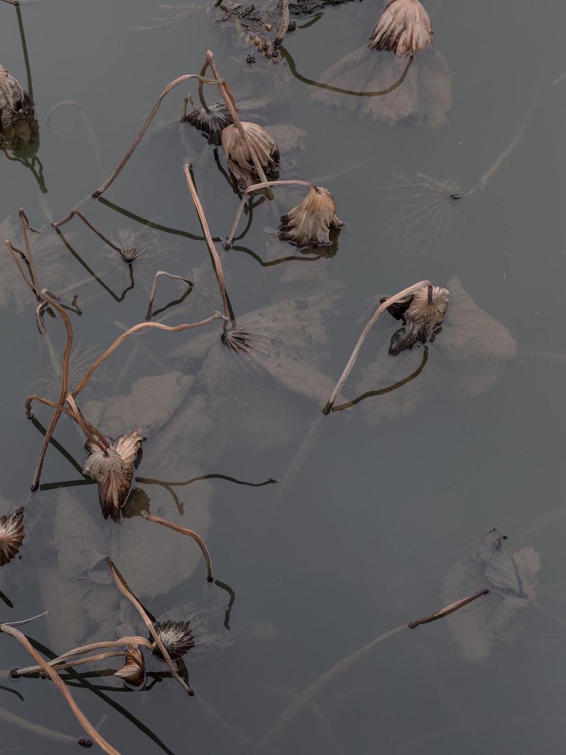 © Cato Van Rijckeghem - Image from the Our life is full of sunshine photography project