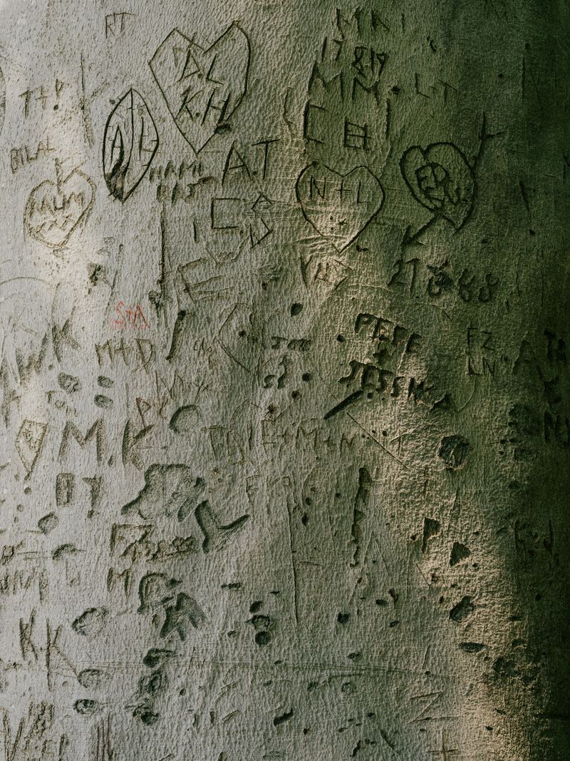 © Fotómetro - Untitled