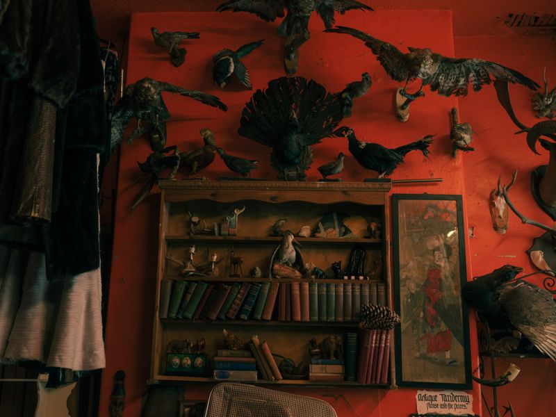 © Fotómetro - Untitled