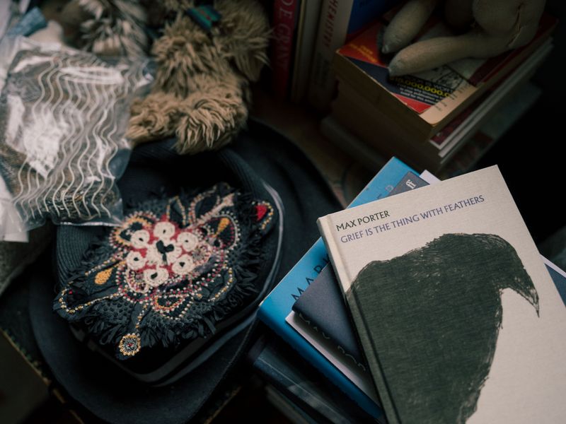 © Fotómetro - 'GRIEF IS THE THING WITH FEATHERS'