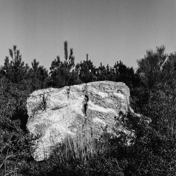 © Silvy Crespo - Image from the The Land of Elephants photography project