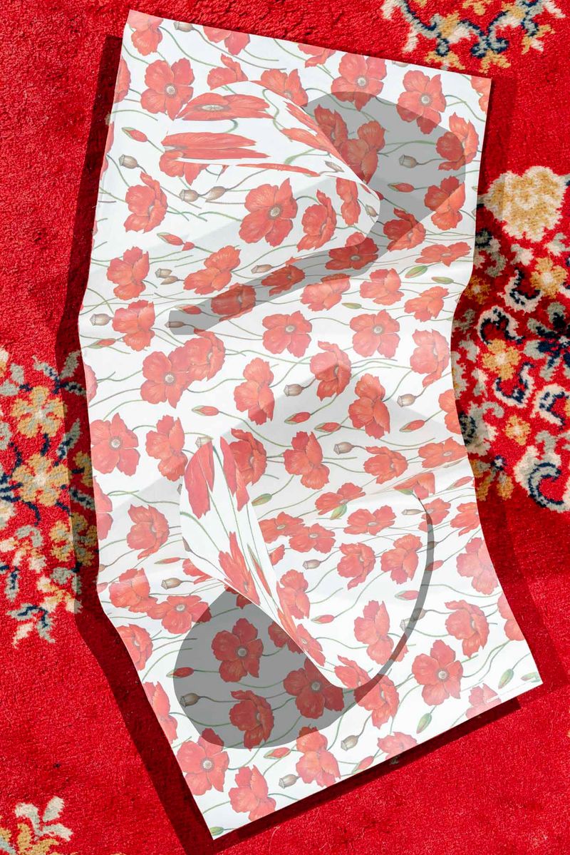 © Anton Kuehnhackl - Image from the A "Thing" Like You and Me. photography project