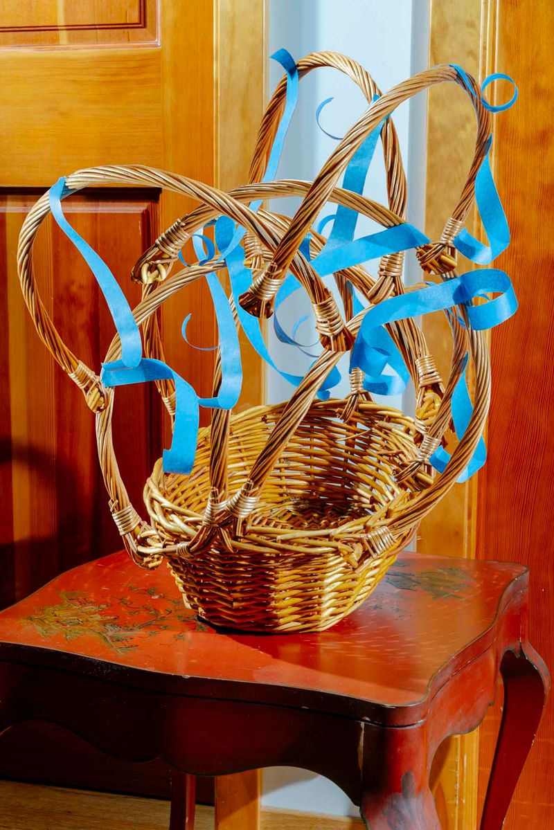 © Anton Kuehnhackl - Image from the A "Thing" Like You and Me. photography project