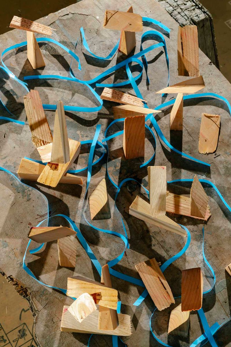 © Anton Kuehnhackl - Image from the A "Thing" Like You and Me. photography project