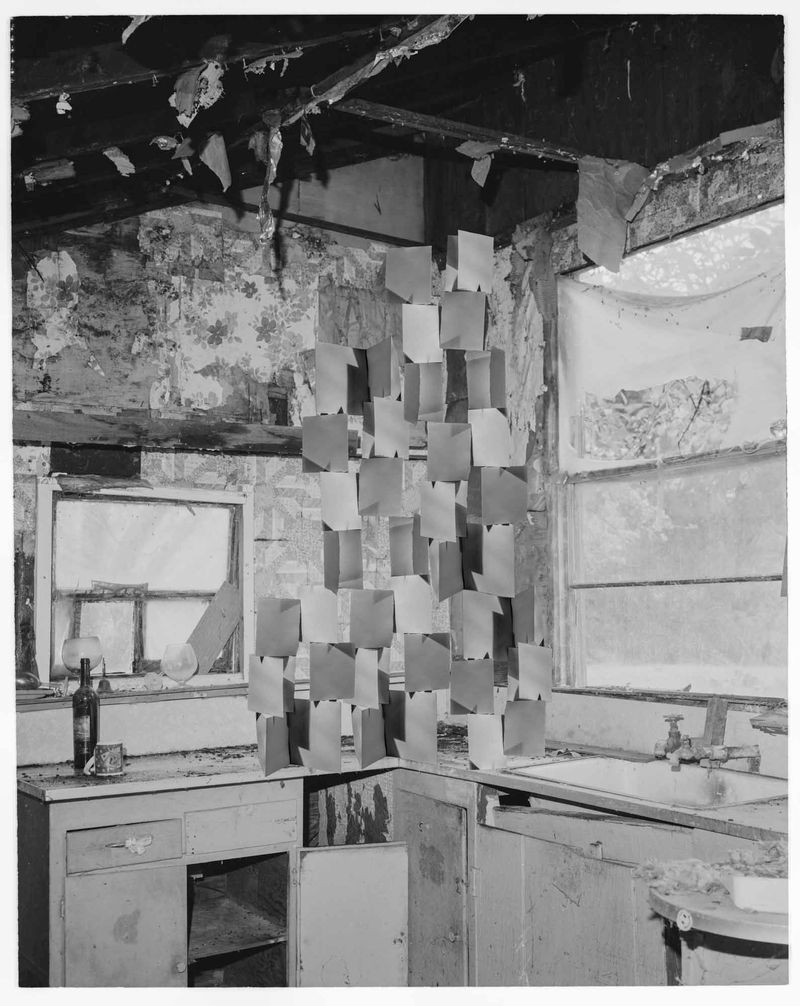 © Anton Kuehnhackl - Image from the A "Thing" Like You and Me. photography project