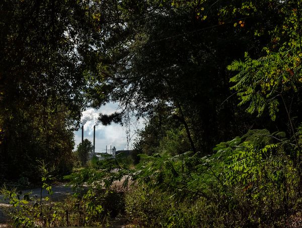 © Allison Grant - Paper Mill Stacks