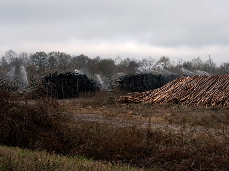 © Allison Grant - Log Yard, Georgia Pacific Paper Company