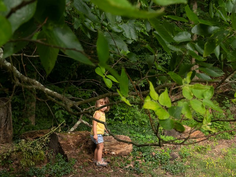 © Allison Grant - Watching