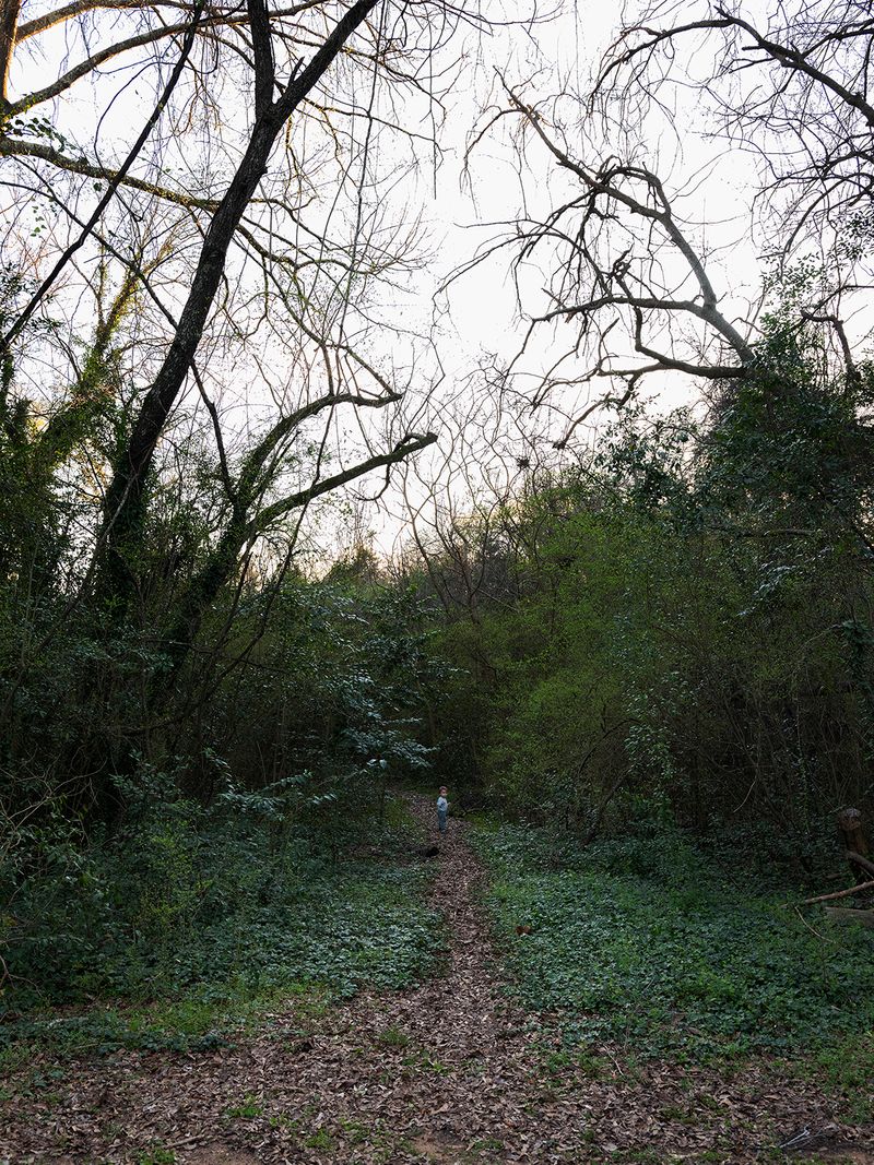 © Allison Grant - Alone on the Path