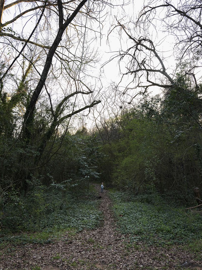 © Allison Grant - Alone on the Path