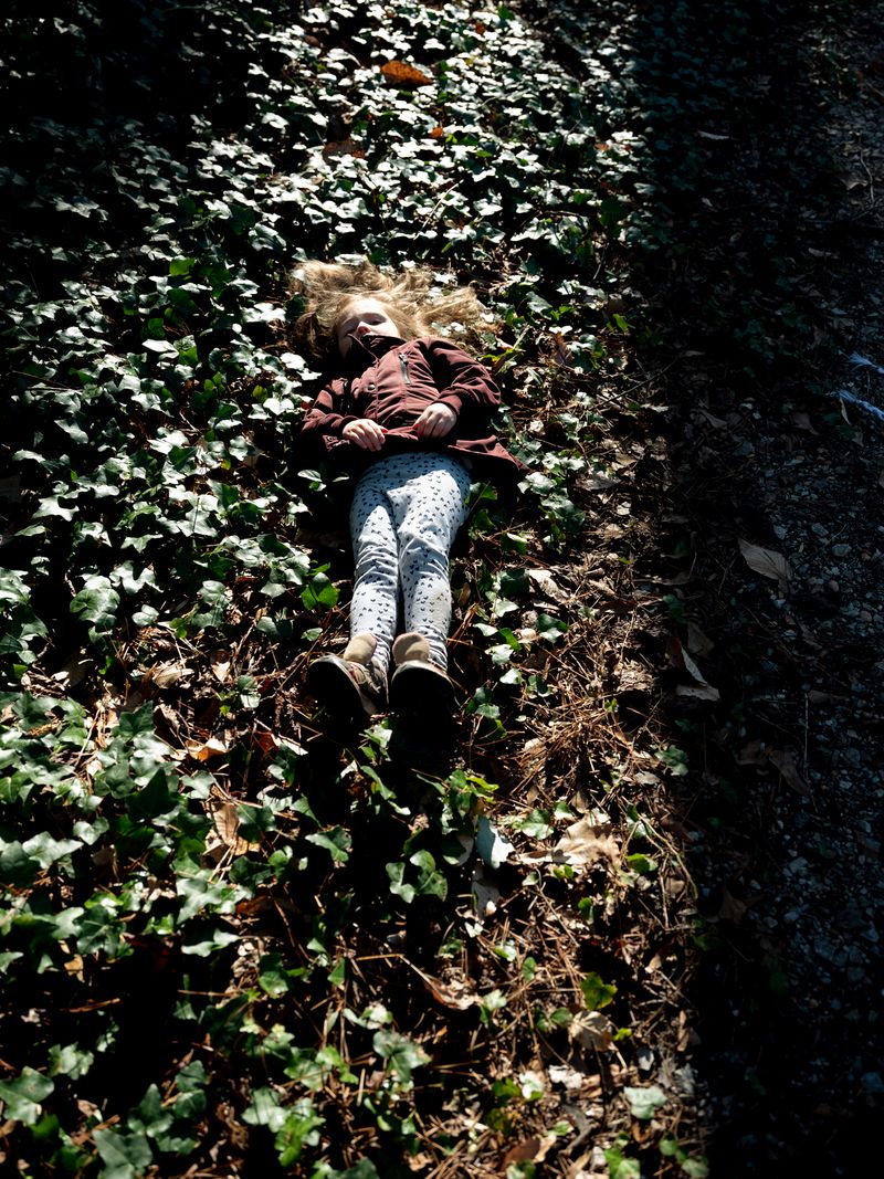 © Allison Grant - In the Ivy, 2019