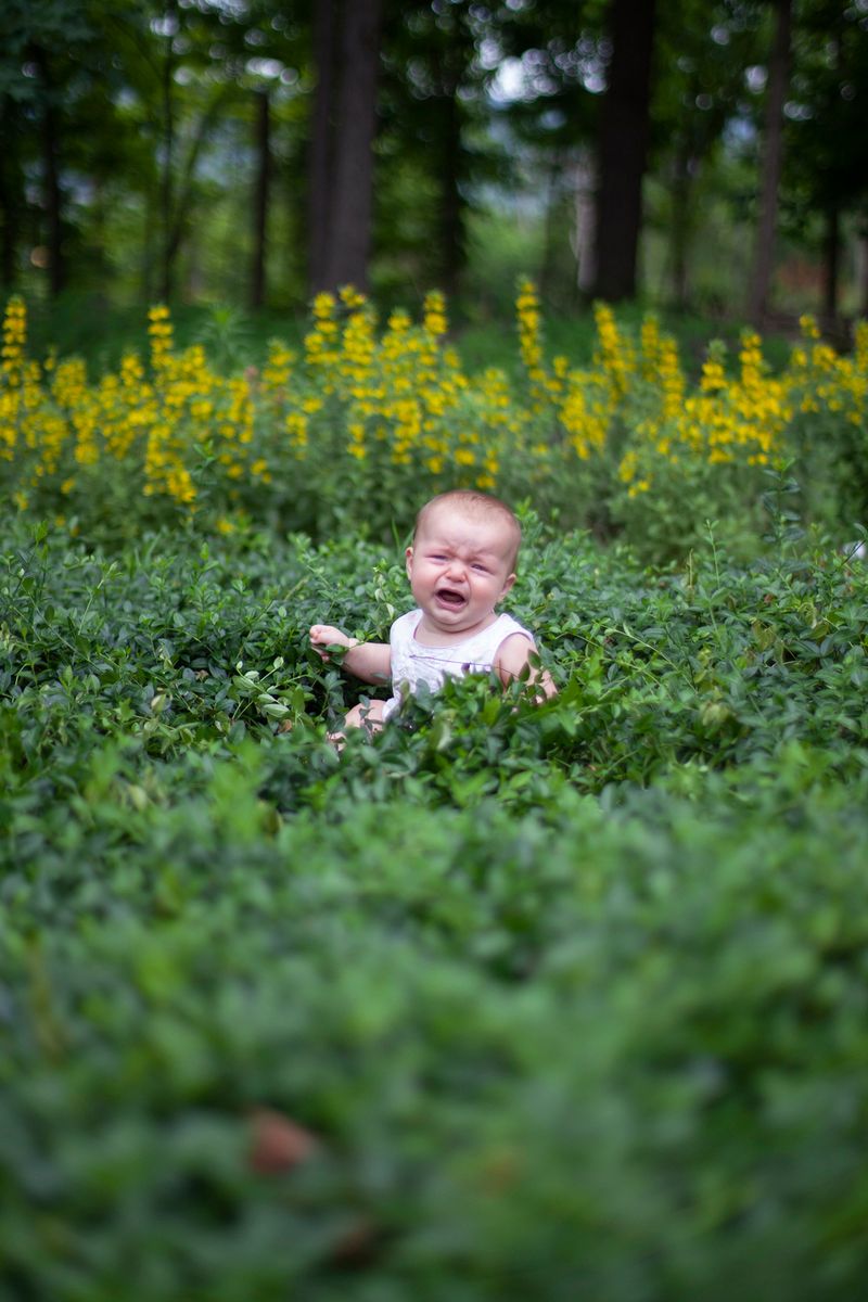 © Allison Grant - Lorelei Left Alone, 2018