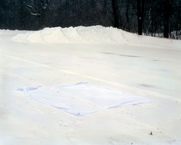 © Allison Grant - Blanket in the Snow, 2017