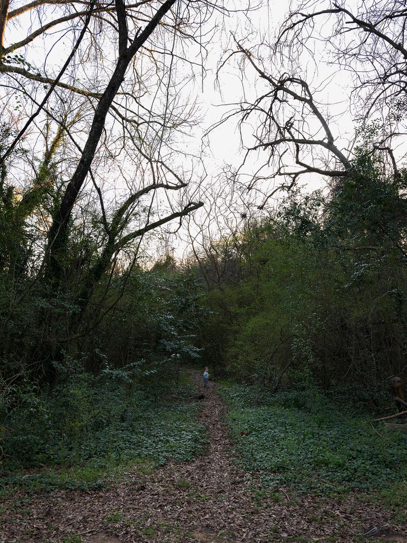 © Allison Grant - Alone on the Path