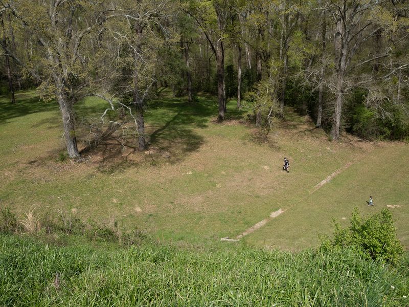 © Allison Grant - Running Into the Woods