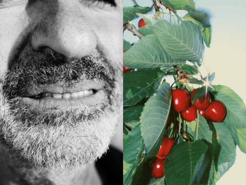 © Pasquale Fanelli - Image from the instant photography project