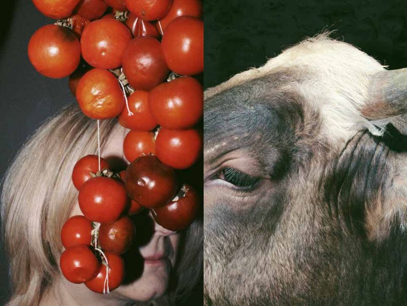 © Pasquale Fanelli - Image from the instant photography project