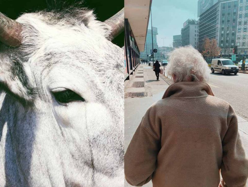 © Pasquale Fanelli - Image from the instant photography project