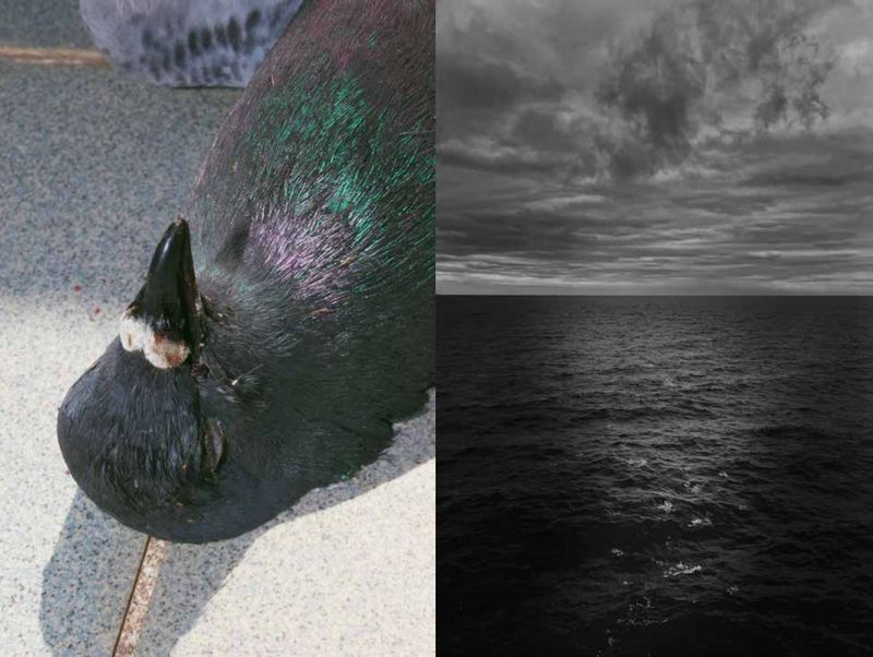 © Pasquale Fanelli - Image from the instant photography project