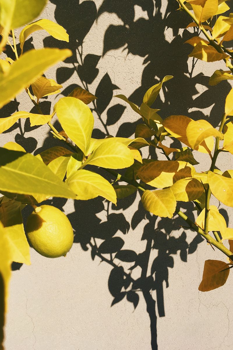 © Pasquale Fanelli - Image from the Siamo dei photography project