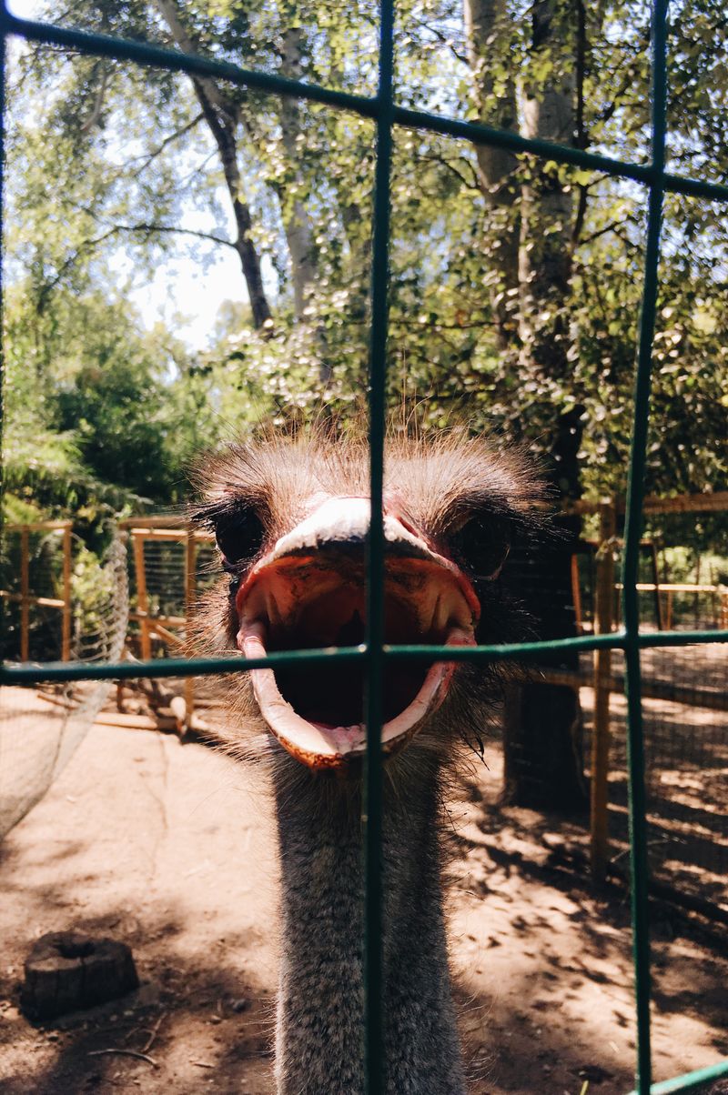 © Pasquale Fanelli - Image from the Siamo dei photography project