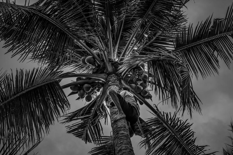 © Julien De Wilde - Image from the The House of the Holy photography project