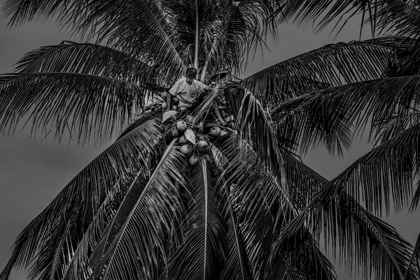 © Julien De Wilde - Image from the The House of the Holy photography project