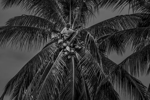 © Julien De Wilde - Image from the The House of the Holy photography project