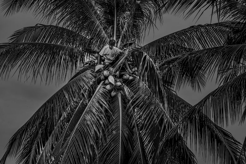 © Julien De Wilde - Image from the The House of the Holy photography project