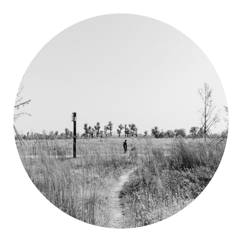 © Tianhu Yuan - A man walks through the ruins of a palace covered with weed.