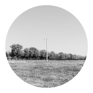 The Millet Drops Head