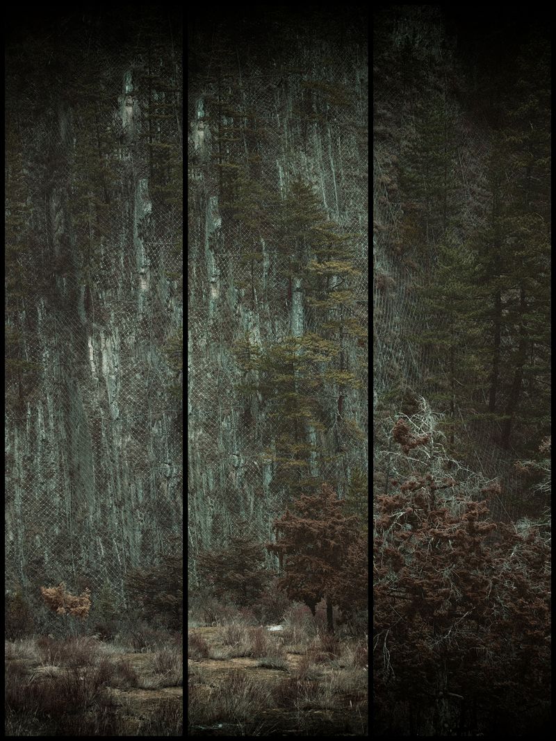 © Tianhu Yuan - Image from the The Staged Wilderness photography project