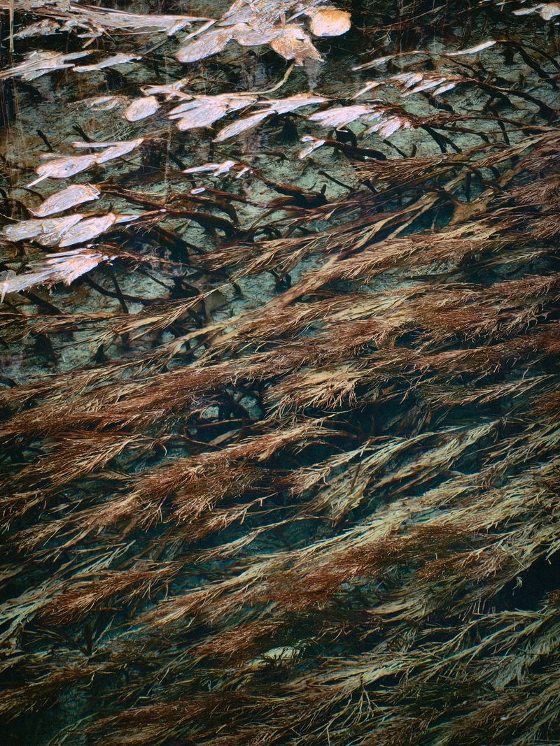 © Tianhu Yuan - Image from the The Staged Wilderness photography project