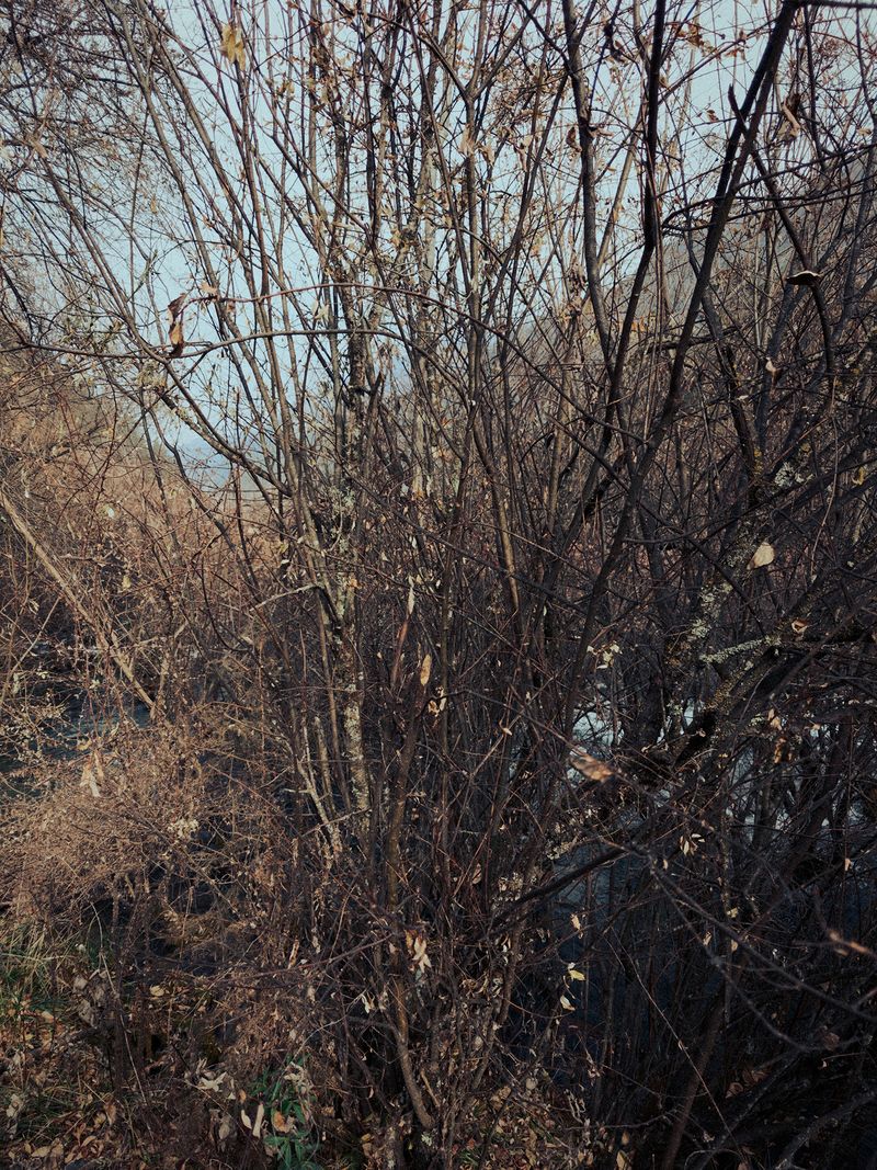 © Tianhu Yuan - Image from the The Staged Wilderness photography project