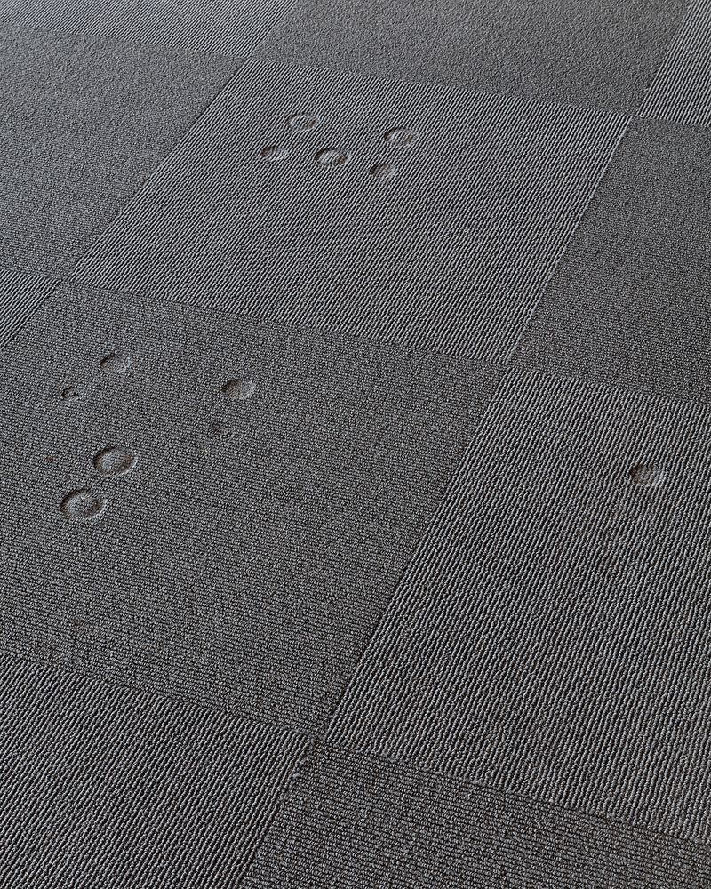 © Daniel Everett - Image from the Marker photography project