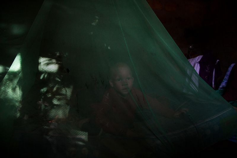 © Alejandro Olivares - Abdala Alfan (4)