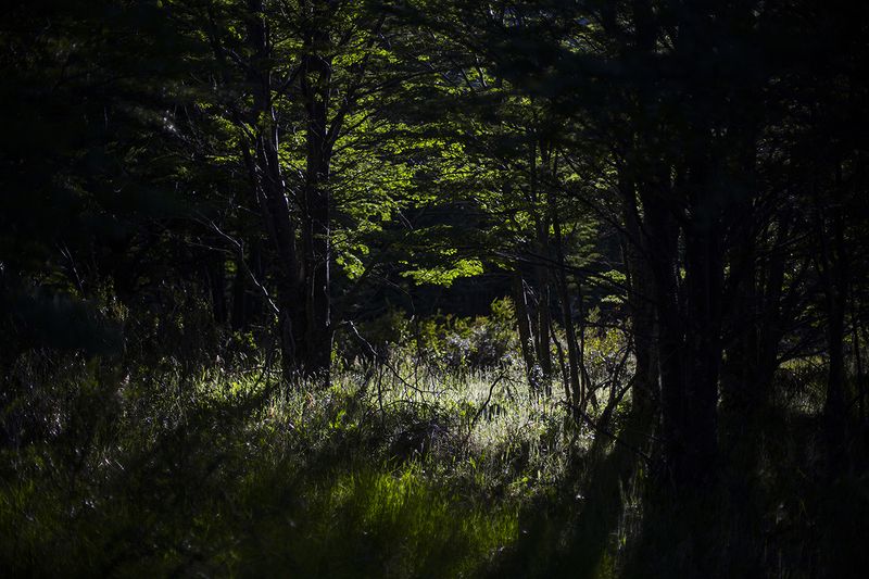 © Alejandro Olivares - Image from the The beginning of the wind photography project