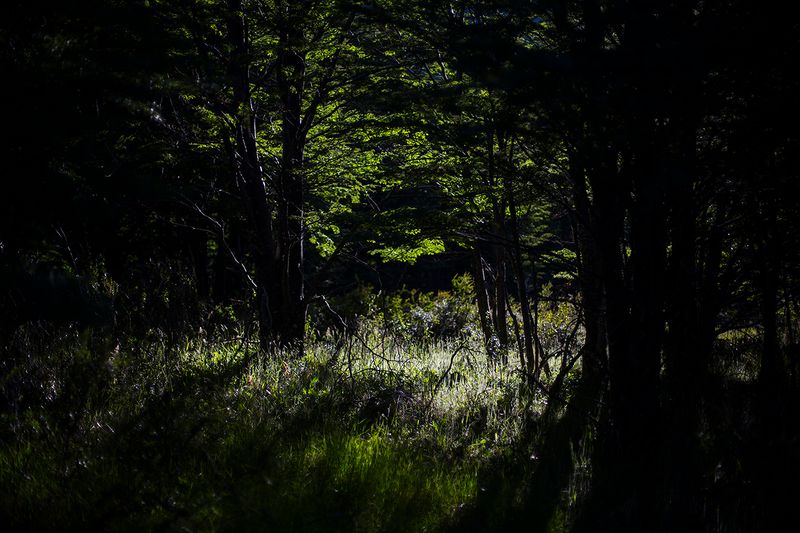 © Alejandro Olivares - Image from the The beginning of the wind photography project